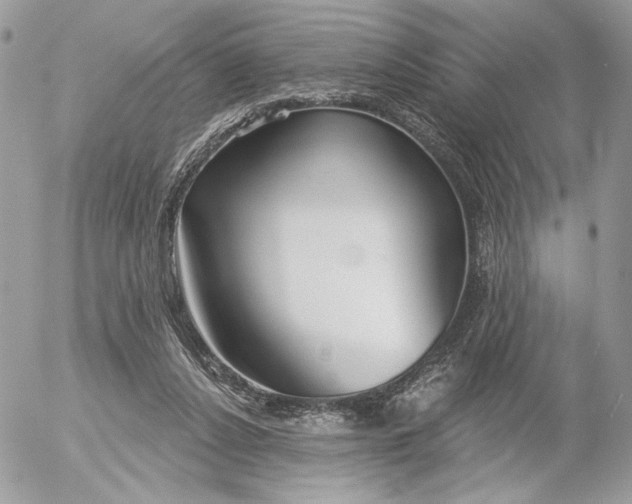 X0000054440256200508191618