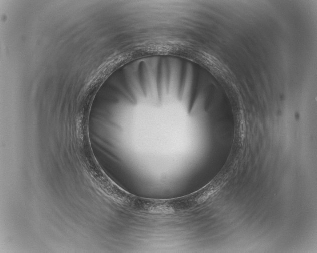 X0000054440258200508191619