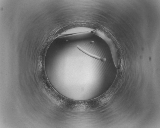 X0000054440259200508191619