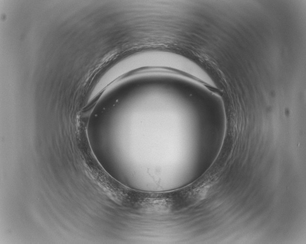 X0000054440260200508191619