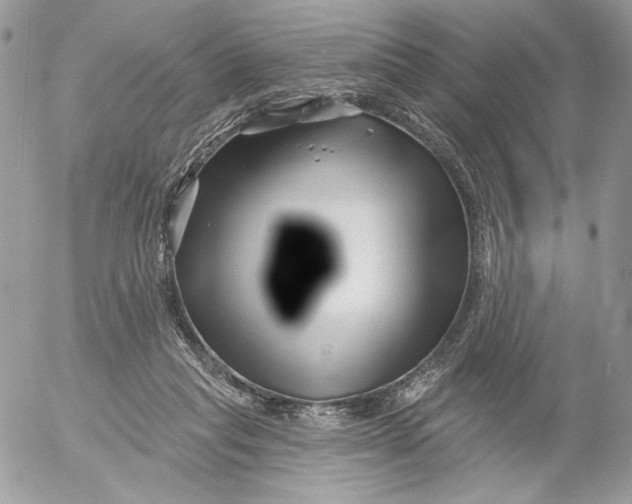 X0000054440261200508191619