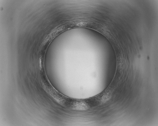 X0000054440262200508191619