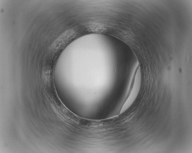 X0000054440263200508191619