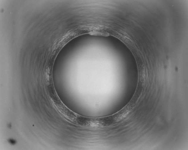 X0000054440264200508191619