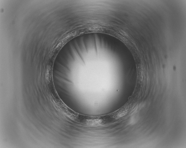 X0000054440266200508191619