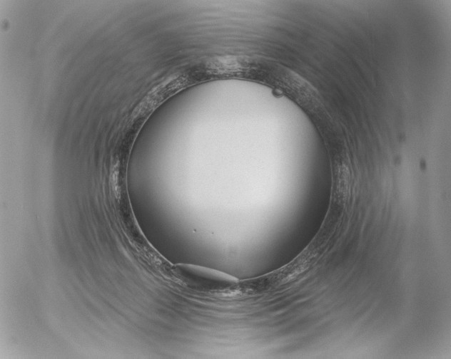 X0000054440267200508191619