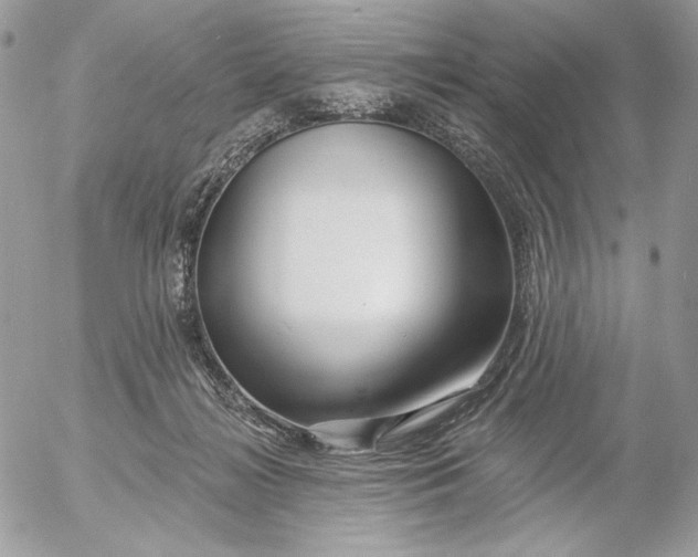 X0000054440268200508191619