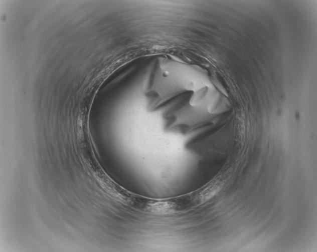 X0000054440269200508191619