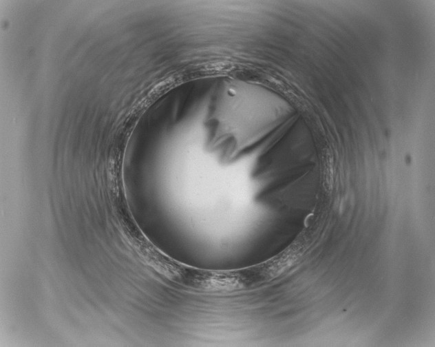 X0000054440270200508191619