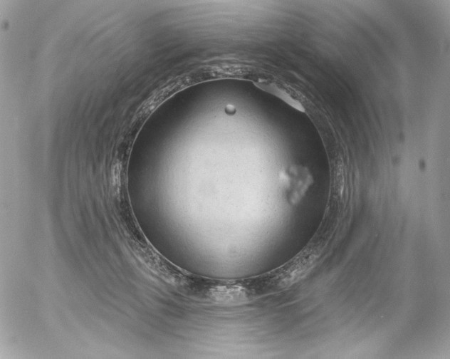 X0000054440271200508191619