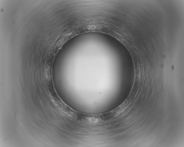 X0000054440272200508191619