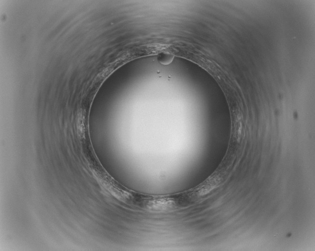 X0000054440274200508191619