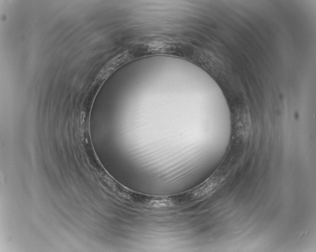 X0000054440275200508191619