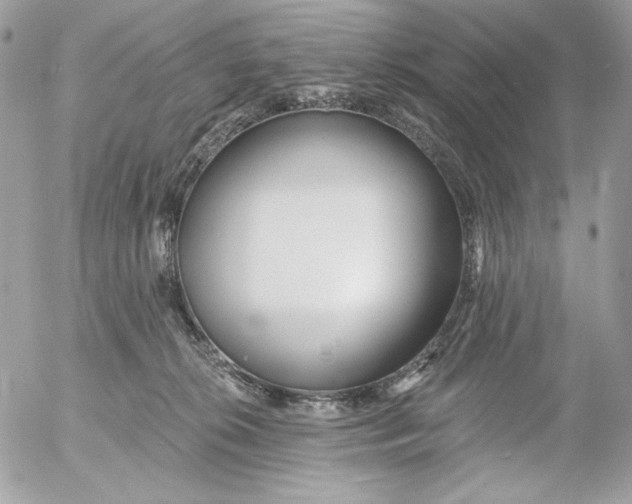 X0000054440276200508191619