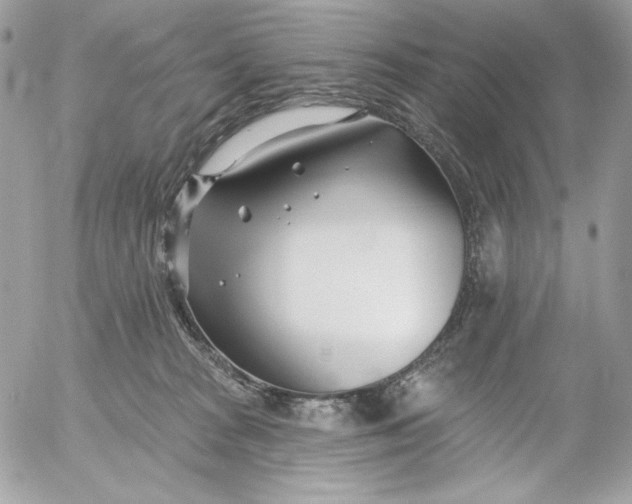 X0000054440277200508191619