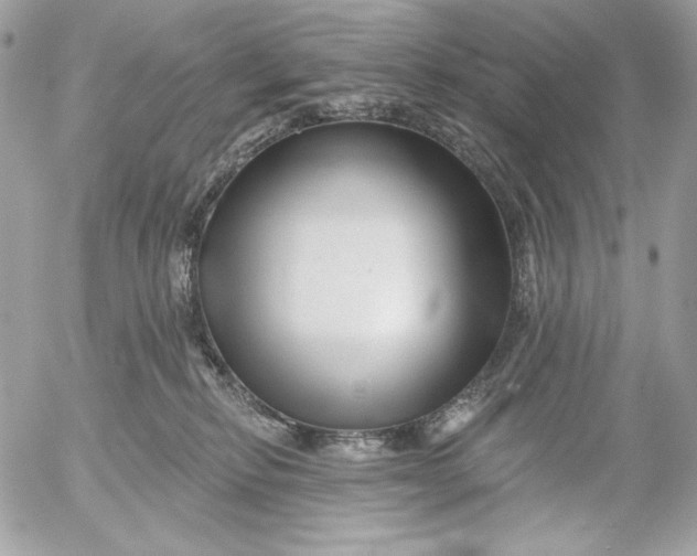 X0000054440278200508191619