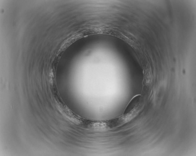 X0000054440279200508191619