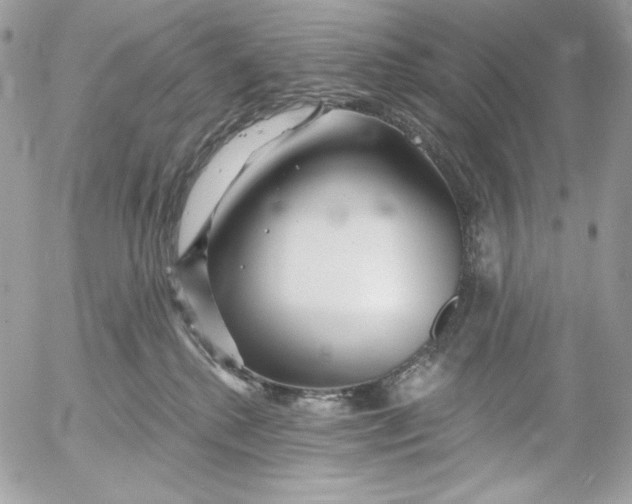 X0000054440280200508191619