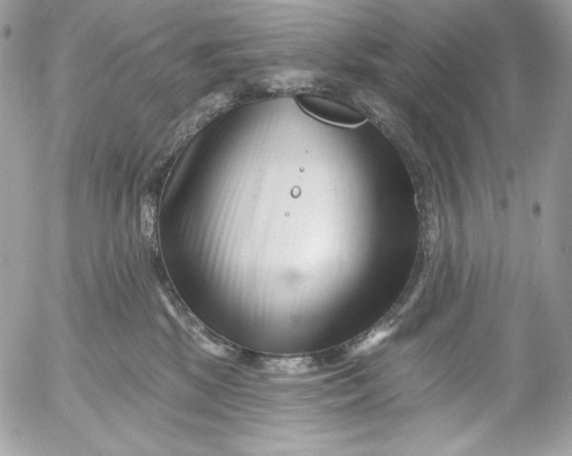 X0000054440281200508191619