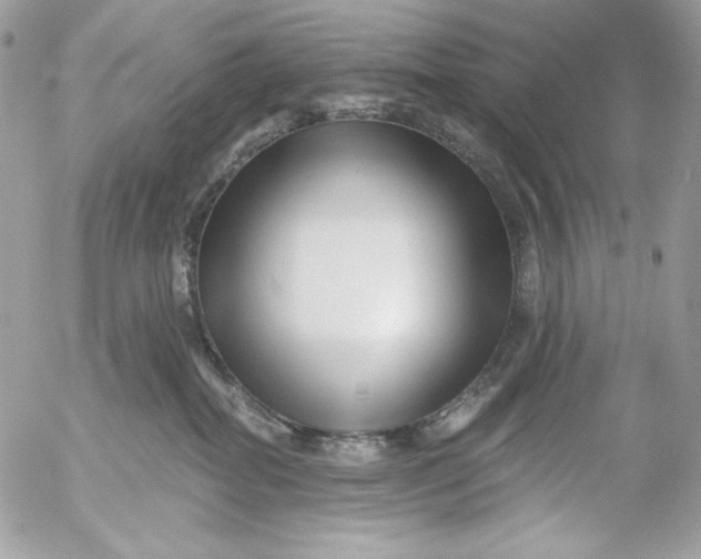 X0000054440282200508191619