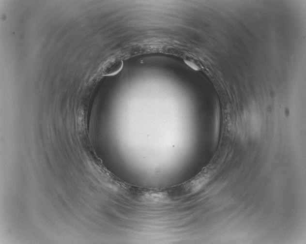 X0000054440283200508191619