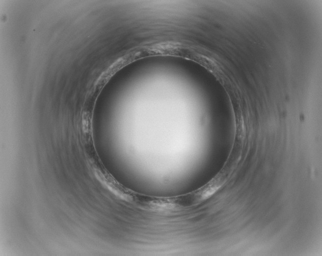 X0000054440284200508191619