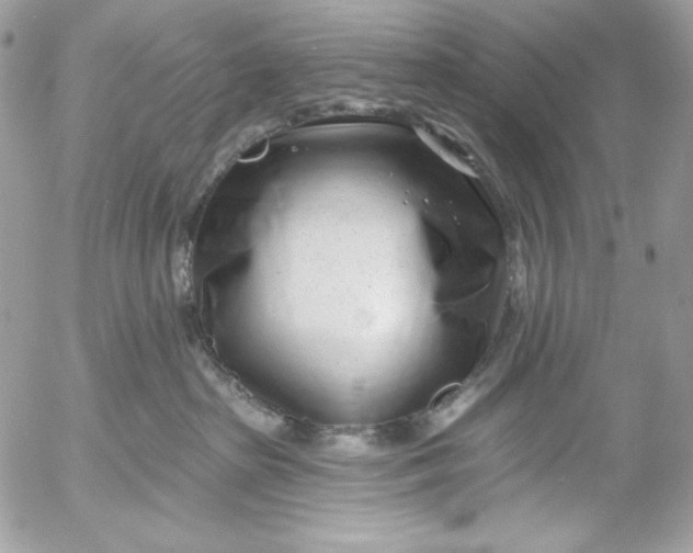 X0000054440285200508191619