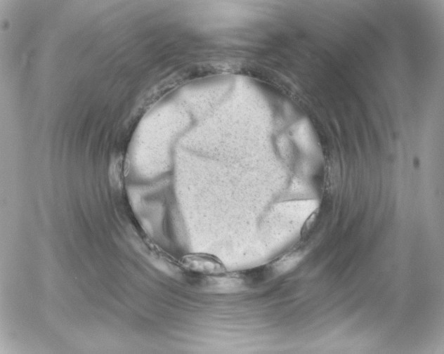 X0000054440286200508191619