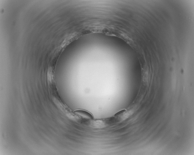 X0000054440287200508191619