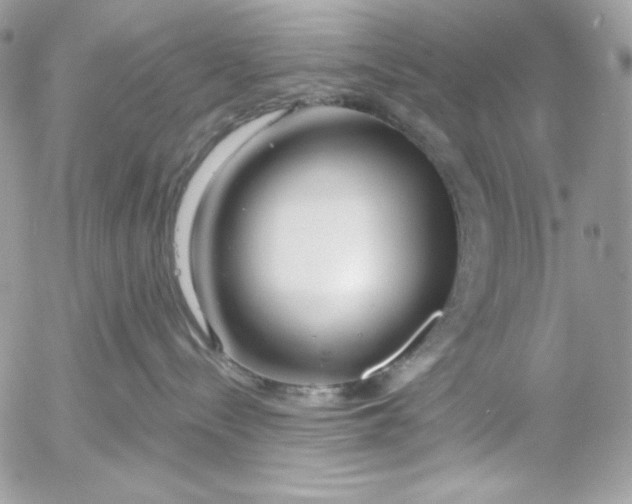 X0000054440288200508191619