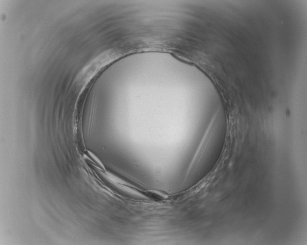 X0000054440290200508191618