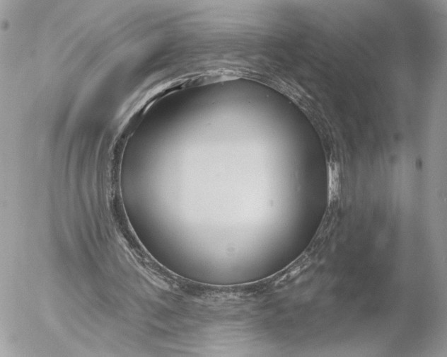 X0000054440291200508191618