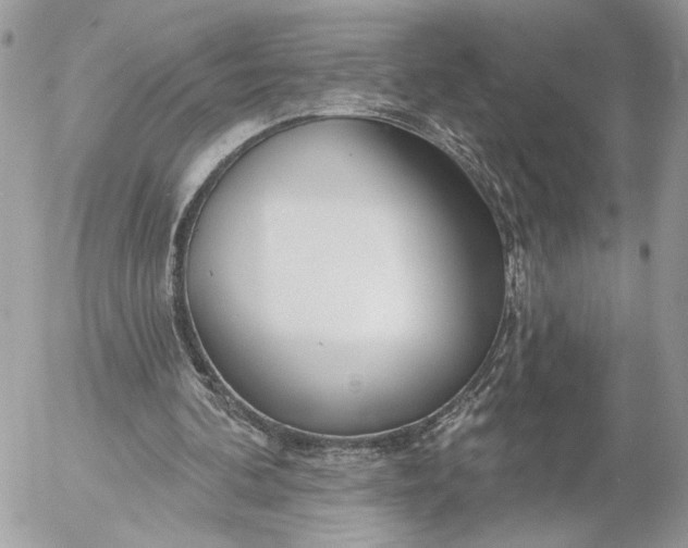 X0000054440292200508191618