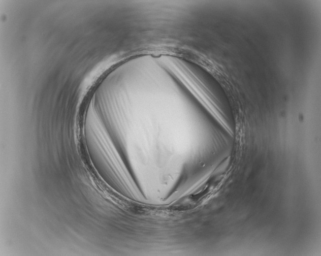 X0000054440294200508191618