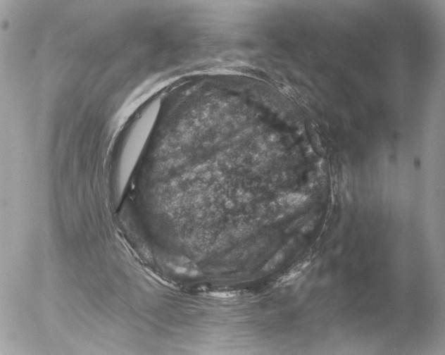 X0000054440295200508191618