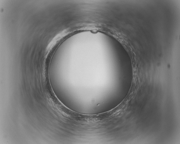 X0000054440296200508191618