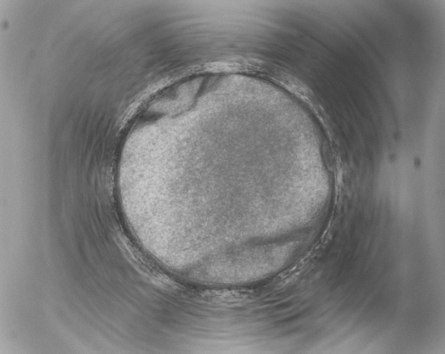 X0000054440297200508191618