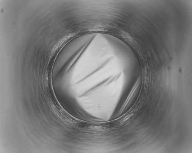 X0000054440298200508191618