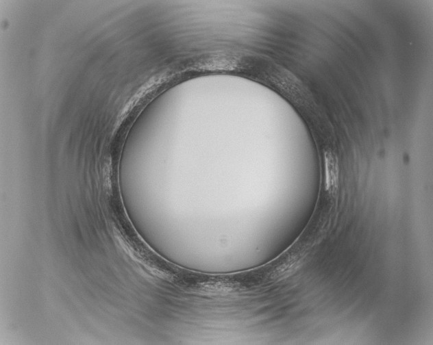 X0000054440300200508191618