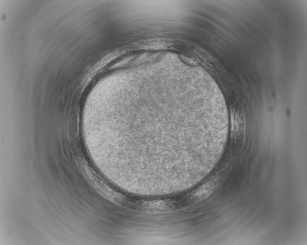 X0000054440301200508191618