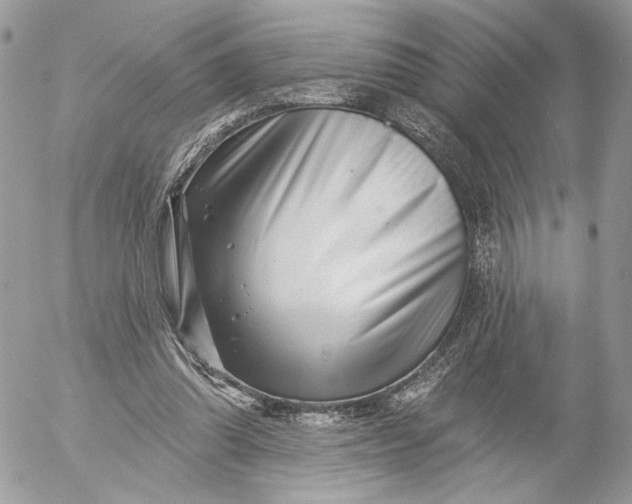 X0000054440302200508191618