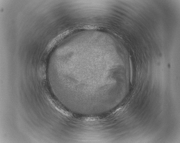 X0000054440303200508191618