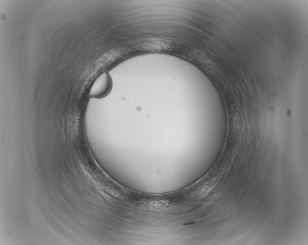 X0000054440304200508191618