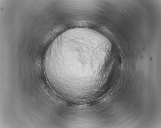 X0000054440306200508191618