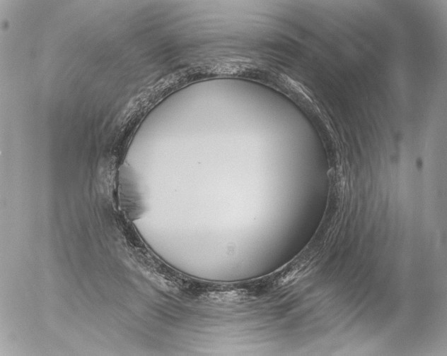 X0000054440307200508191618