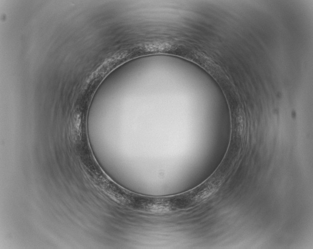 X0000054440308200508191618