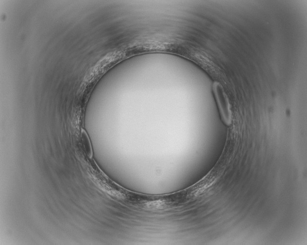 X0000054440309200508191618