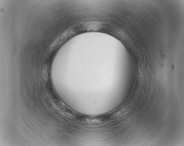 X0000054440311200508191618