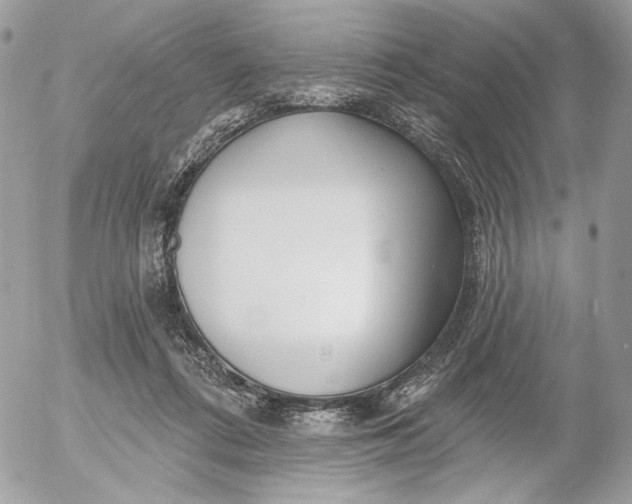 X0000054440312200508191618