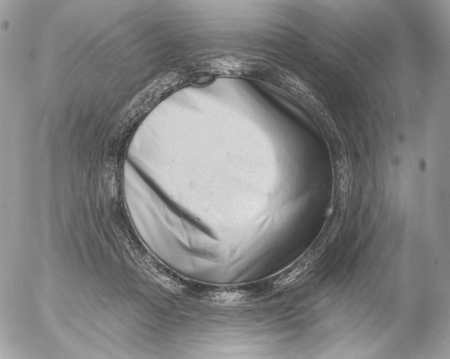 X0000054440313200508191618